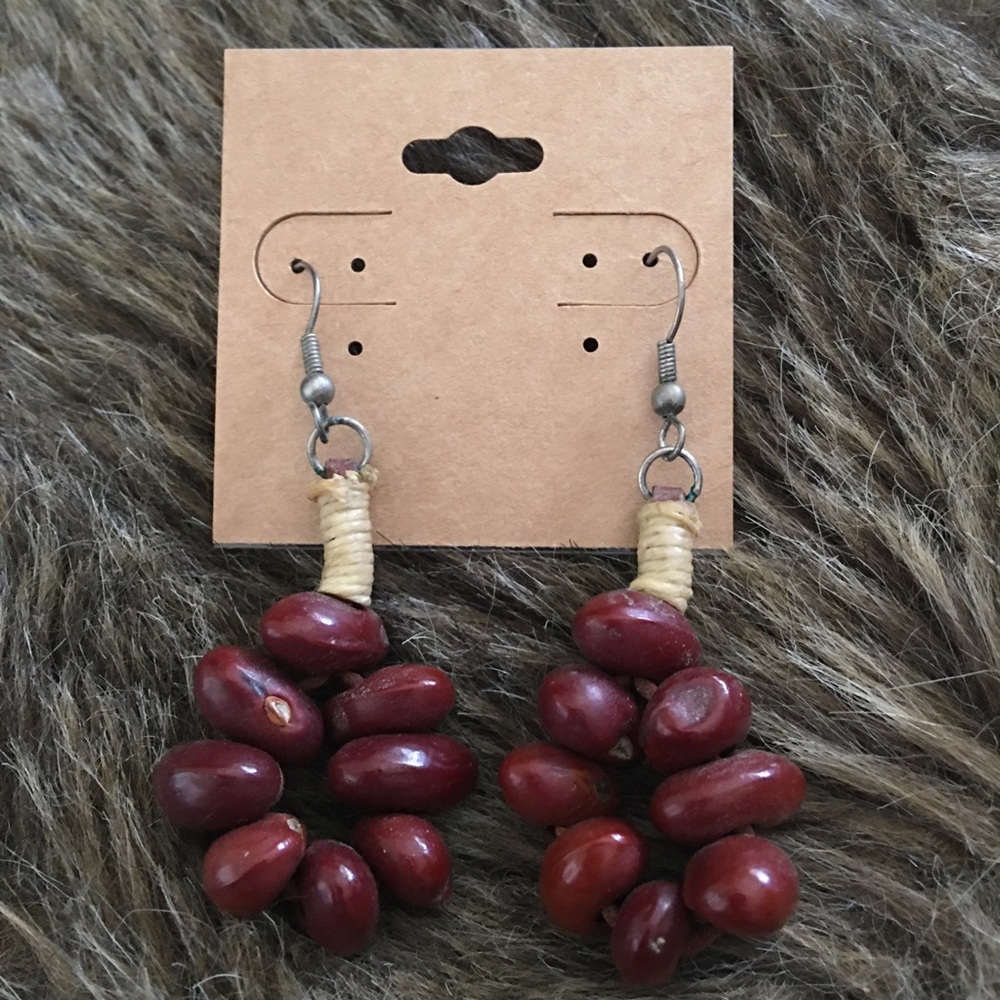 Boho natural bean dangle fish hook earrings